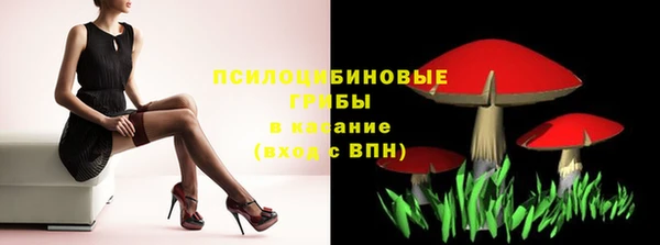 МДПВ Горно-Алтайск
