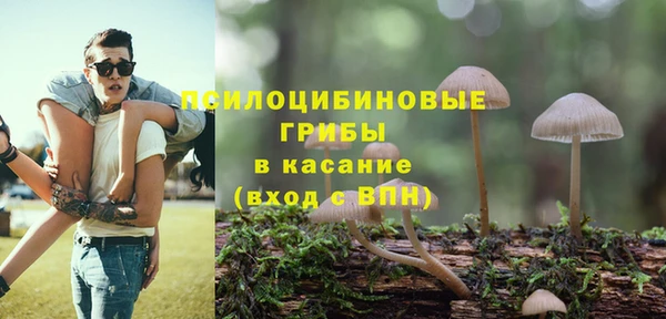 таблы Тында