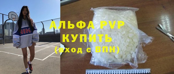 хмурый Гусь-Хрустальный