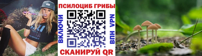 hydra ссылки  Звенигород  Псилоцибиновые грибы прущие грибы 